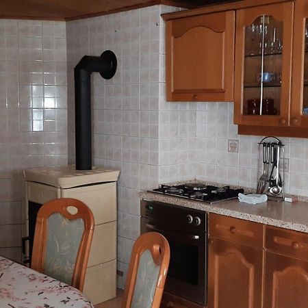 Apartment Zorc Trenta Εξωτερικό φωτογραφία