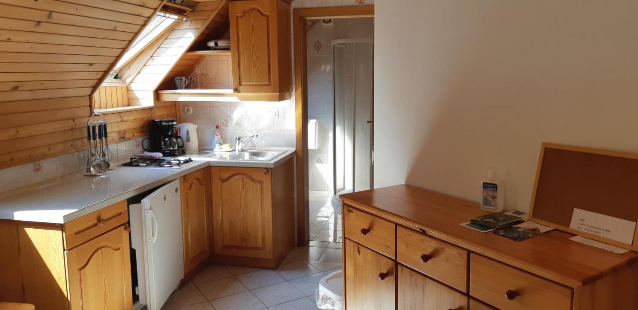 Apartment Zorc Trenta Εξωτερικό φωτογραφία