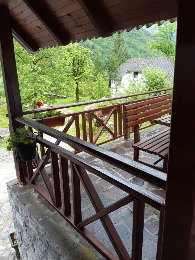 Apartment Zorc Trenta Εξωτερικό φωτογραφία